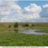 lycaen thersamon biotope don